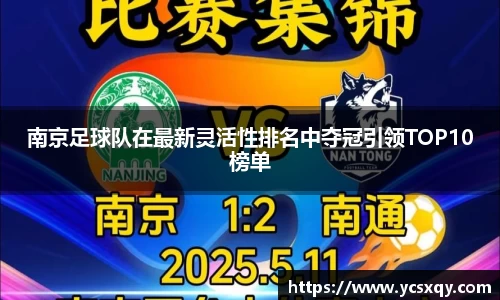 南京足球队在最新灵活性排名中夺冠引领TOP10榜单